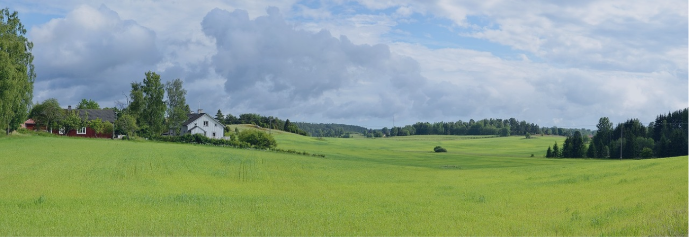 Background image cover